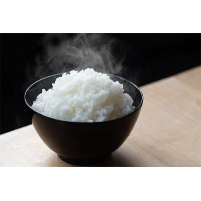 ふるさと納税 与謝野町 森の美しさを守る　天橋立阿蘇海の側で育った　京の豆っこ米5kg　令和6年産 コシヒカリ　京都丹後より |  | 03