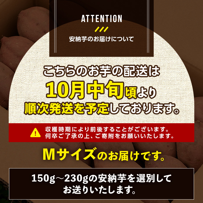 n046 ＜先行予約受付中！2026年10月中旬頃より順次発送予定＞数量限定！種子島産 安納芋(Mサイズ・10kg) 国産 安納芋 紅 種子島 芋 イモ いも さつまいも さつま芋 安納いも セット 