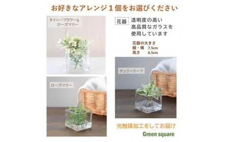 【タイニーフラワー＆ローズマリー】 マジカルウォーター 単品1個 ｢ グリーンスクエア ｣