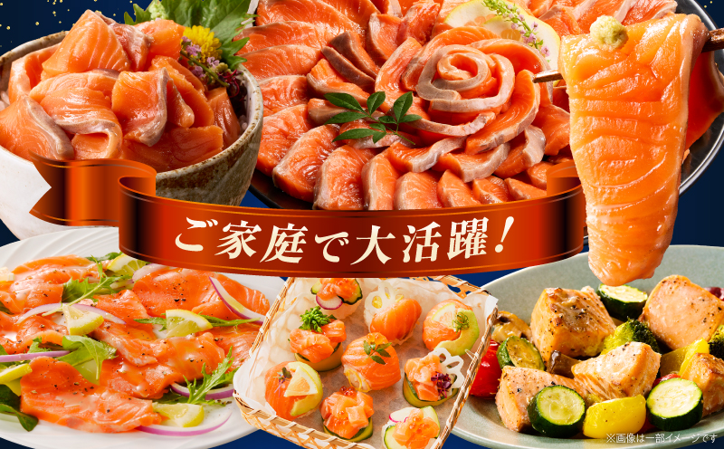 【訳あり】銀鮭刺身 1kg サーモン 銀鮭 鮭 訳あり 訳あり品 刺身 刺し身 冷凍 個包装 小分け 晩ごはん 食卓 カルパッチョ サラダ 漬け丼