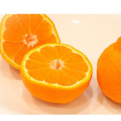 ふるさと納税 三豊市 【発送月固定定期便】香川県・三豊市共通返礼品　フルーツ旬の果物　Cセット全5回 |  | 03