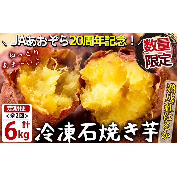 【定期便・全2回】鹿児島県産紅はるか石焼き芋 計6kg(1kg×3袋×2ヶ月) t003-028