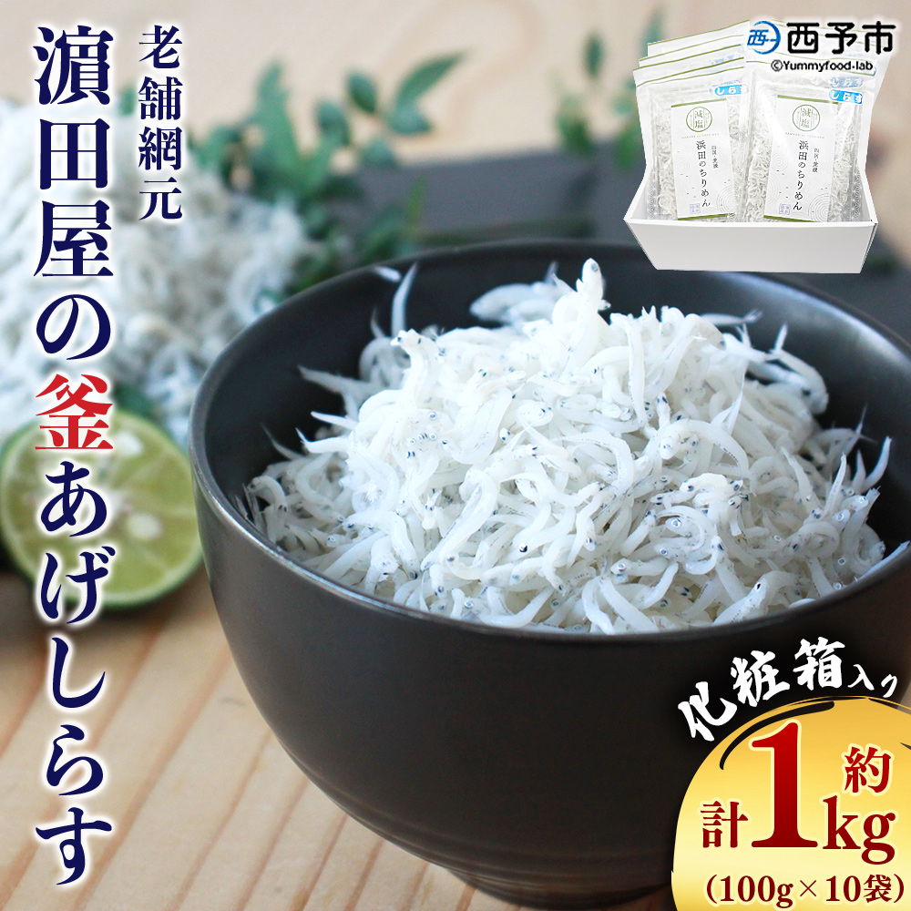 ＜老舗網元 濱田屋の釜あげしらす 合計1kg（100g×10個）＞ 釜揚げ シラス じゃこ 海鮮 海産物 丼 おにぎり 具材 ごはんのお供 おつまみ おやつ 小魚 カルシウム 乾物 小分け 国産 マルヨシ水産 特産品 愛媛県 西予市