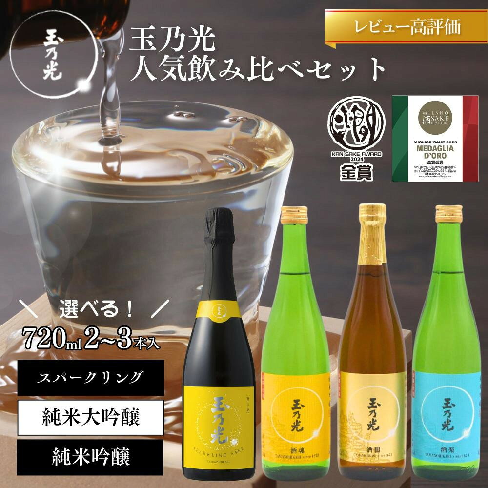 【ふるさと納税】《10月より寄付額改定》【玉乃光酒造】人気飲み比べセット720ml 2～3本｜京都 老舗 日本酒 レビュー高評価 人気セット [ 豪華飲み比べ 純米大吟醸1本＋純米吟醸2本 地酒 ご当地 お酒 日本酒 家飲み 晩酌 おすすめ ギフト プレゼント 贈答 セット お取り寄せ