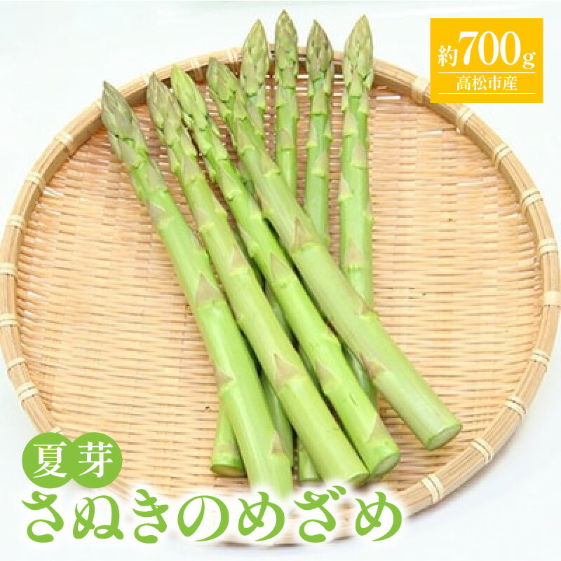 【ふるさと納税】さぬきのめざめ 夏芽 約700g アスパラガス【2026-6月上旬～2026-11月上旬配送】 | シャキシャキ食感 ジューシー 柔らかい グリーン アスパラガス 野菜 食品 人気 おすすめ お取り寄せ お取り寄せグルメ 産地直送 オリジナル 品種