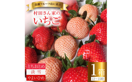 【3月発送】村田さん家のいちご 【3種食べ比べセット】 (1箱12～15粒）