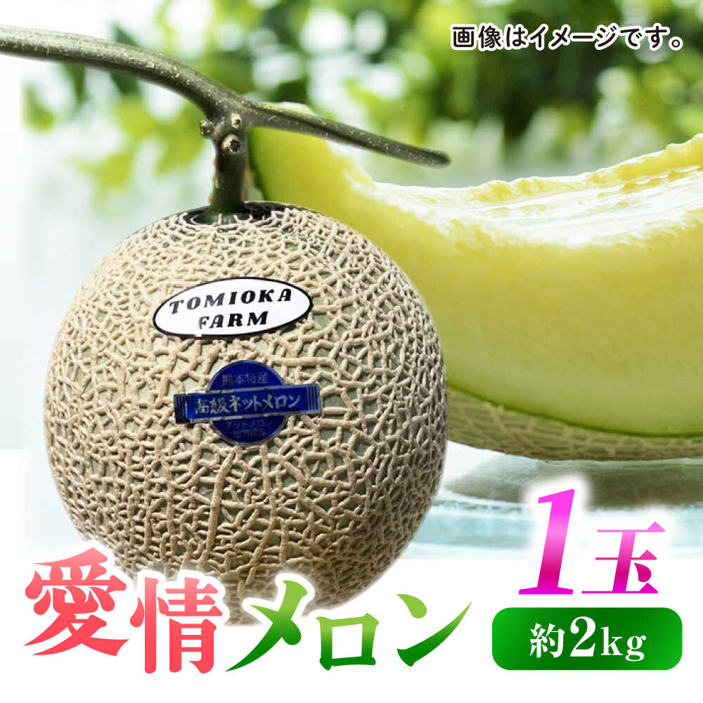 【ふるさと納税】【先行予約】年内発送 愛情 メロン 1玉【とみおか農園】[ZEM007] フルーツ 果物 果実 くだもの ギフト プレゼント 人気 おすすめ 美味しい 贈答 国産 熊本県 山鹿市
