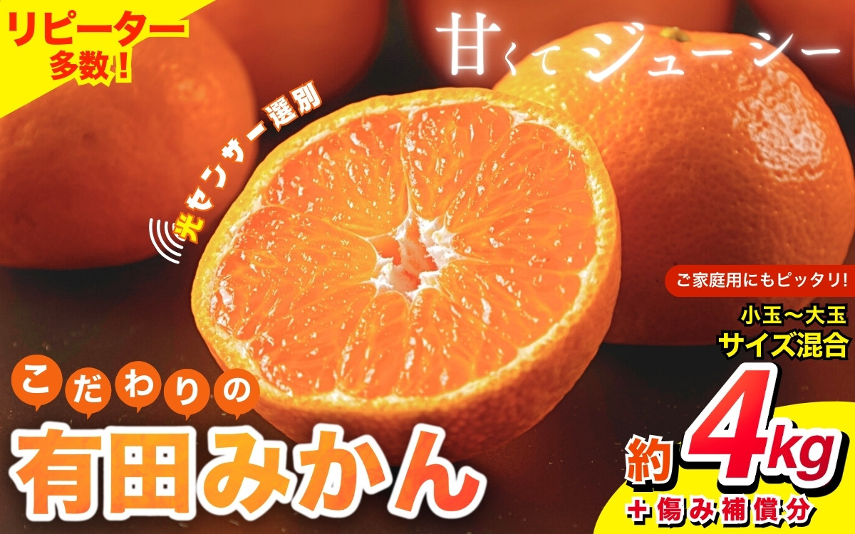 
            ＼光センサー選別／ 【農家直送】＼発送時期が選べる／ 【家庭用】こだわりの有田みかん 約4kg＋250g(傷み補償分) 先行予約 有機質肥料100% サイズ混合 【11月･12月･1月から選択可能】みかん ミカン 温州みかん 柑橘 有田 和歌山 ※北海道・沖縄・離島配送不可 【nuk148_cho】
          