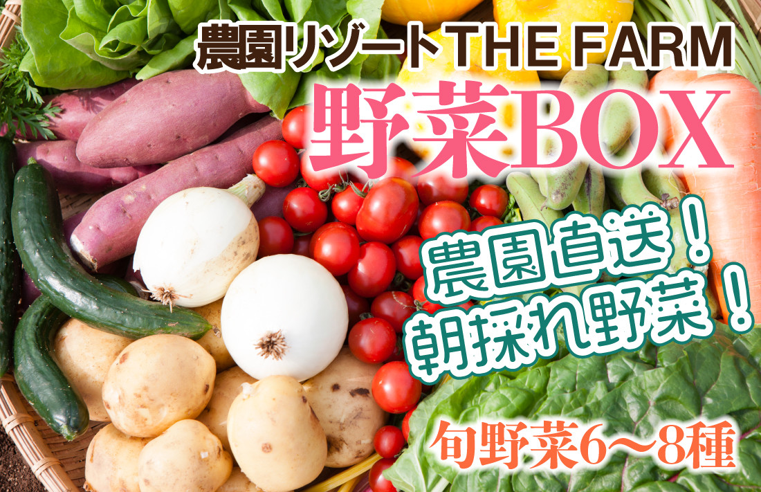 
THE FARMの 野菜 詰め合わせセット こだわり厳選した旬な野菜をお届け!【1263207】
