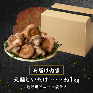 『大国しいたけ』菌床しいたけ　1kg 厳選 高級 椎茸 きのこ 肉厚 ジューシー 新鮮 山梨県産 北杜市産