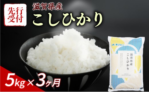【令和8年産】 先行予約 新米 こしひかり 5kg 3回定期便 令和8年産 定期便 米 精米 こめ コメ お米 ご飯 米 コシヒカリ 米定期便 3か月定期便 3ヶ月定期便 3回 3ヶ月 3か月 滋賀 彦根