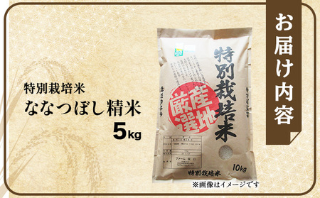 令和7年産！ファーム坂口の特別栽培米 ななつぼし精米 5kg