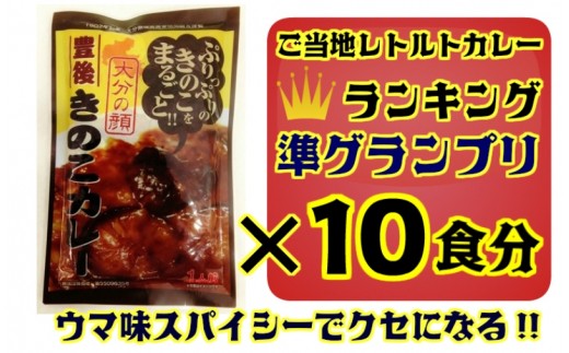 おおいたイチ押し!!豊後きのこカレー10食分（1295R）