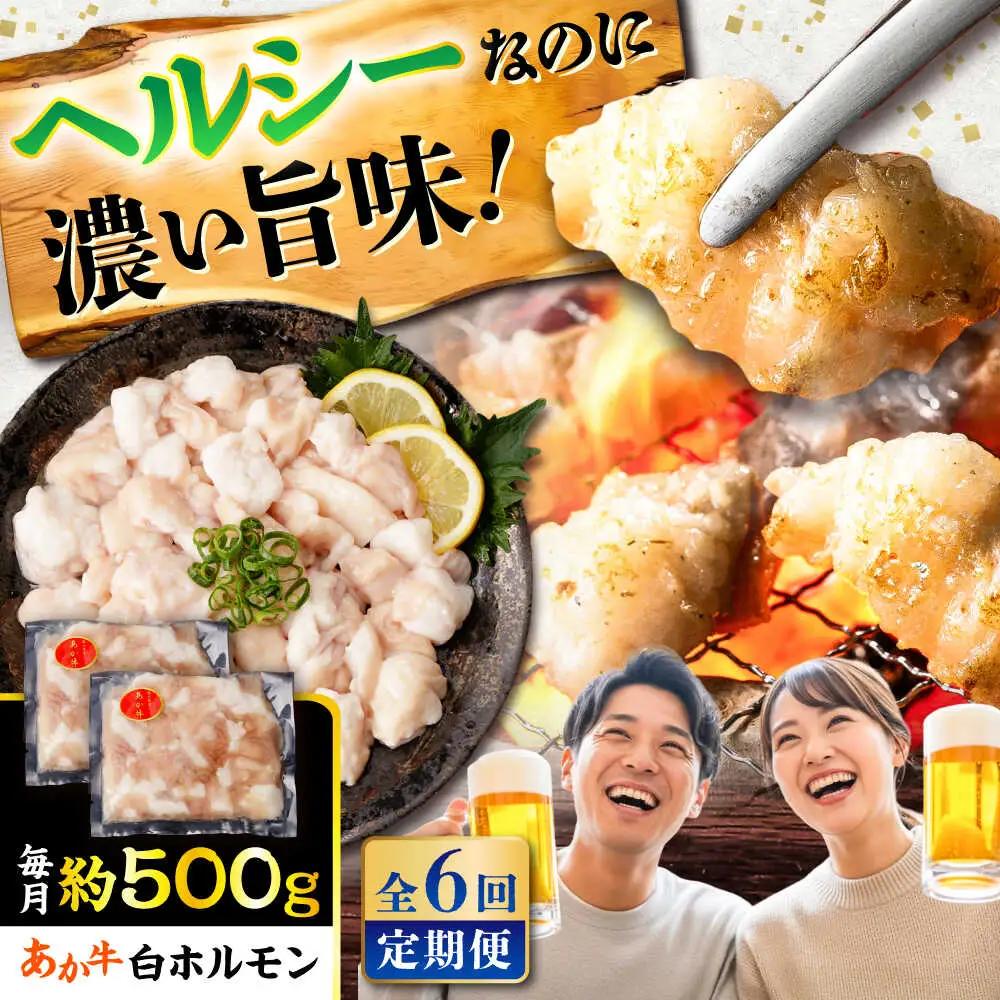 全6回定期便 あか牛白 ホルモン 約500g ホルモン BHCY011