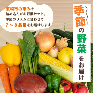 野菜定期便 7品~8品 12ヵ月 産地直送 朝採れ （ 7品 ～ 8品 野菜 セット 詰め合わせ 特産 季節 旬 新鮮 彩 ベジタブル 高知県 須崎市  ）NPO22000