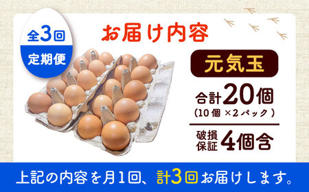 【全3回定期便】平飼い新鮮たまご　元気玉 計20個(10個×2パック) / 卵 ぷりぷり 新鮮 玉子 オムレツ たまごかけごはん 朝食 鶏卵 平飼い 濃厚 こく 熊本県 菊陽町【ぴよっこファーム】[B