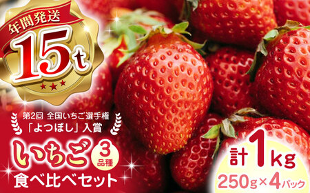【2025年12月より順次発送】いちご 計1000g いちご いちご いちご いちご いちご[YBI002]