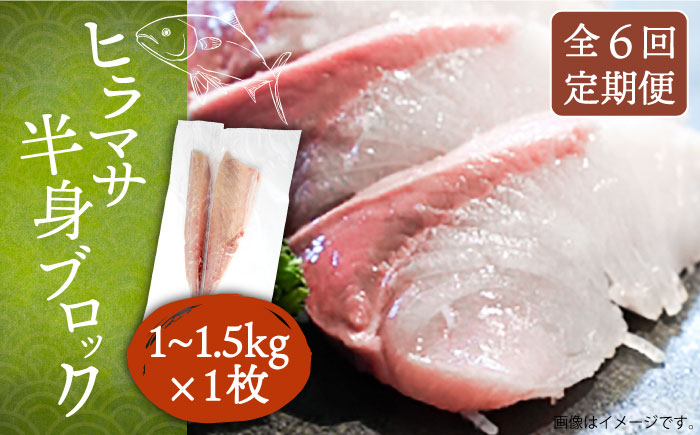 【全6回定期便】ヒラマサフィレ 約1～1.5kg（半身）《壱岐市》【なかはら】[JDT040] ヒラマサ フィレ 柵 刺身 刺身ブロック 刺し身 切身 冷凍 海鮮 海鮮丼 150000 150000円 冷凍配送