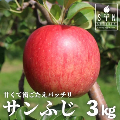 りんご サンふじ 3kg 令和8年 産 松陽園 岩手県 遠野市 2026年12月上旬発送予定【配送不可地域：離島】【1332208】