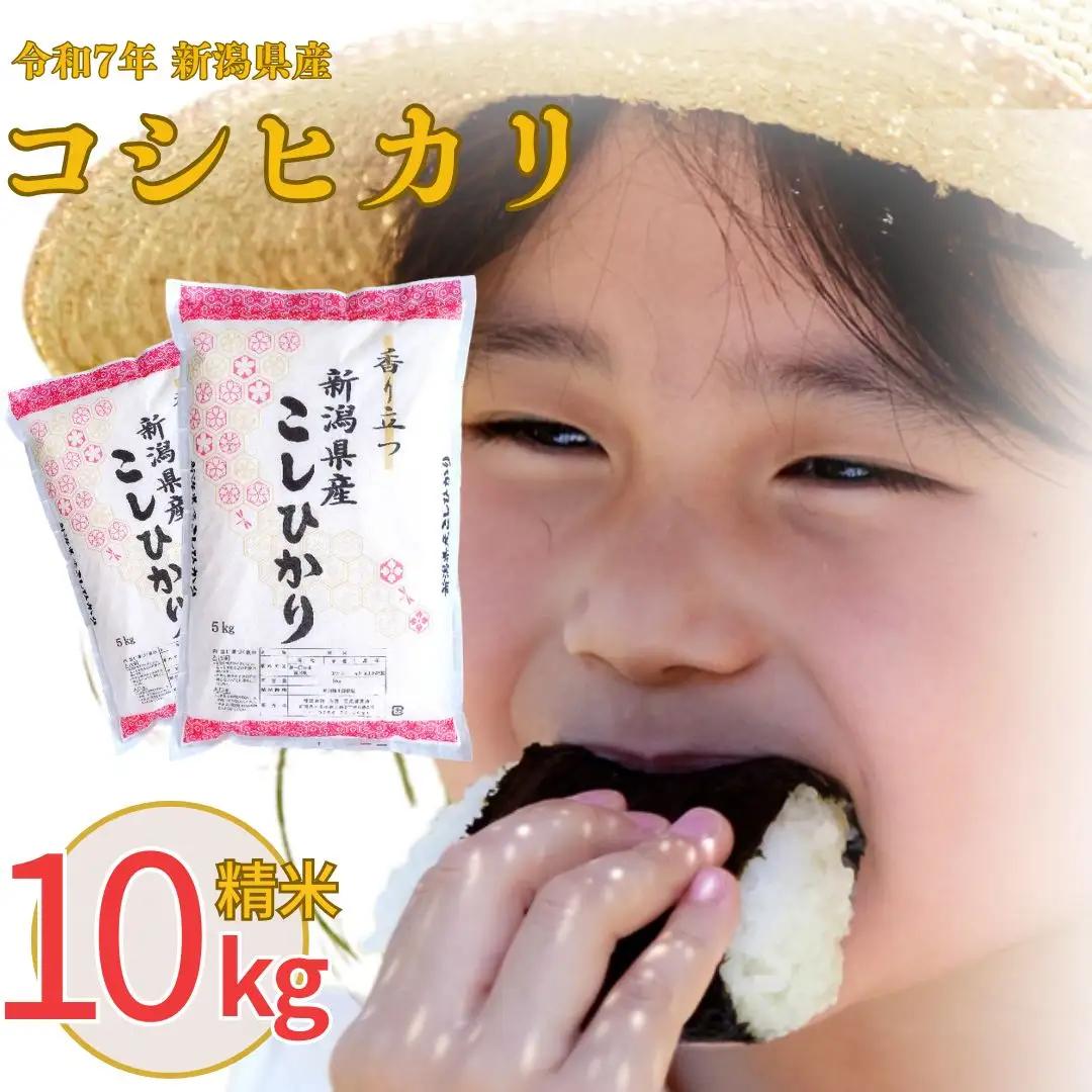 新潟県産 コシヒカリ 10kg 精米 令和7年 三条市 コシヒカリ 白熊