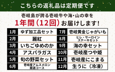 【全12回定期便】壱岐選りすぐり定期便《壱岐市》【壱岐市農業協同組合】野菜セット メロン ステーキ 詰め合わせ うに[JBO160]