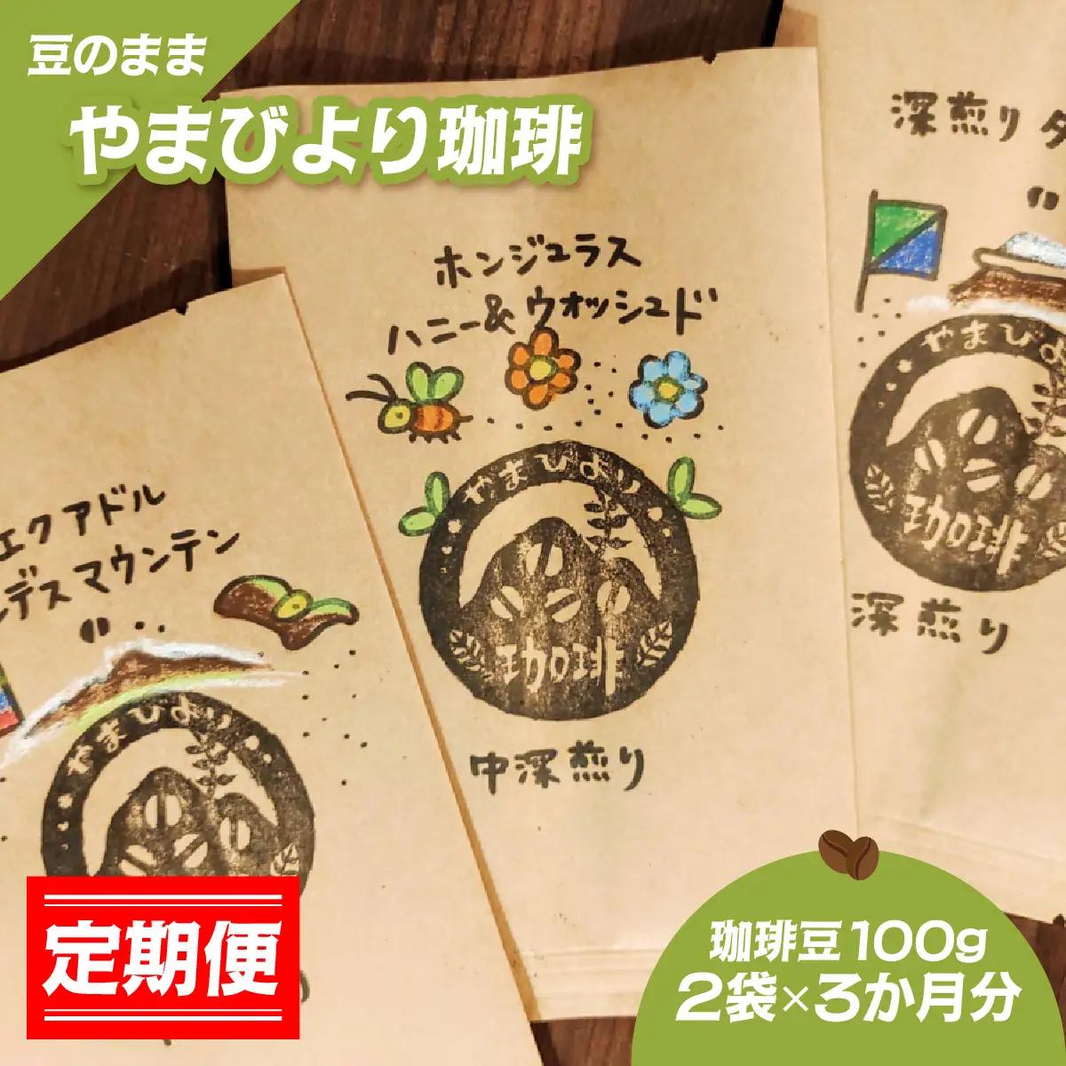 【定期便】【豆のまま】やまびより珈琲【珈琲豆100g 2袋×3か月分】 飲み比べ 2種類  HNNAF008