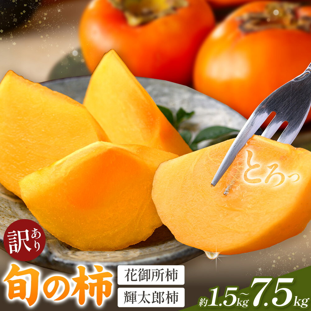 【ふるさと納税】柿 訳あり 旬の柿 選べる 約1.5kg 約4kg 約7.5kg《2026年10月上旬-12月末頃出荷予定(土日祝除く)》鳥取県 八頭町 送料無料 かき わけあり 果物 フルーツ 花御所柿 輝太郎柿 特産品 お取り寄せフルーツ サイズ不選別 大容量 お試し