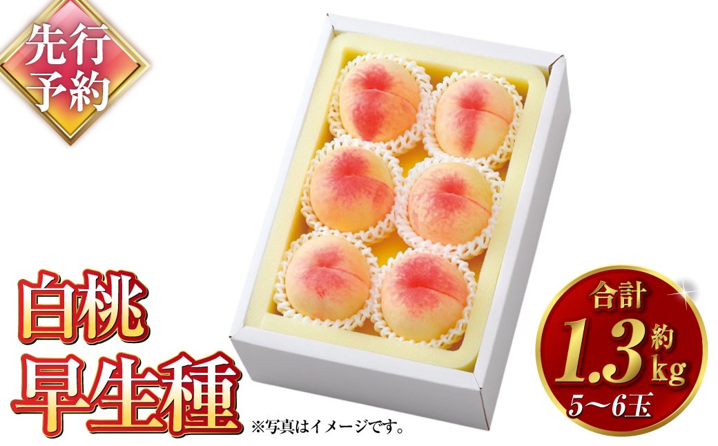 
                  白桃 早生種 5～6玉（約1.3kg）岡山 桃 白鳳 加納岩白桃 早生種 果肉 柔らかい 果汁 【2027年7月上旬～7月下旬迄順次発送予定】
                