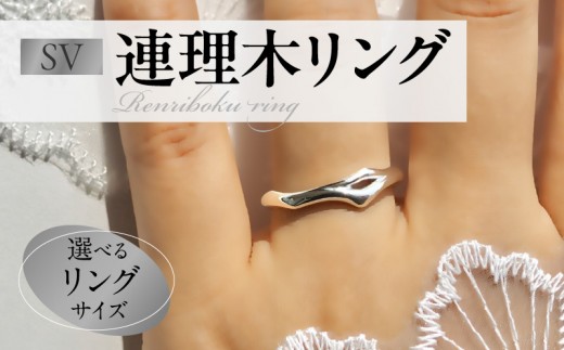 
                  SV連理木リング〈2.5mm-5.5mm幅〉
                