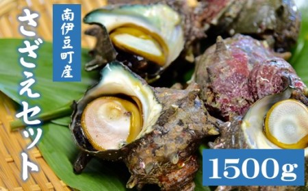 さざえセット[B]　【 さざえ さざえ さざえ さざえ さざえ 】