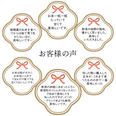 ふるさと納税 那須町 那須町産コシヒカリ　白米(精米)10kg×2袋〔P-147〕 |  | 01