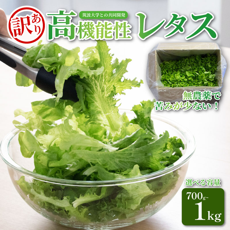 【ふるさと納税】 訳あり 高機能性 レタス 無農薬 選べる容量 700g~1kg サラダ 選べる3品種 フリルレタス グリーンリーフ グリーンオーク 産地直送 高機能性野菜 水耕栽培 新鮮 健康 弁当 フードロス ダイエット ベジタブル ヴィーガン ベジタリアン アイクス 埼玉県 羽生市