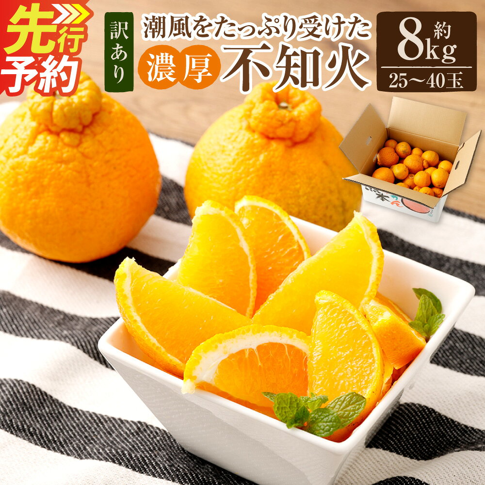 【ふるさと納税】【訳あり】ご家庭用 濃厚不知火 25～40玉 約8kg しらぬい みかん 柑橘 フルーツ 果物 国産 九州 熊本県 送料無料【2027年2月下旬-3月上旬発送予定】
