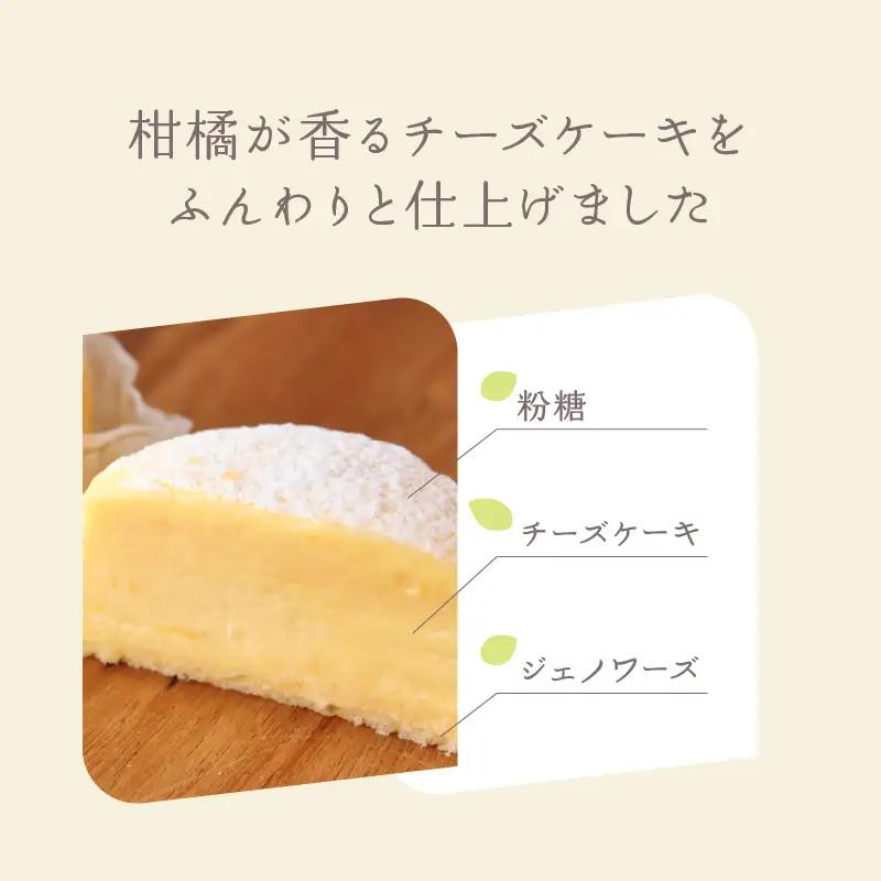 INFINI チーズケーキ KANKAN 濃厚テリーヌ 柑橘 冷凍スイーツ デザート ギフト ケーキ_0004-002-se4
