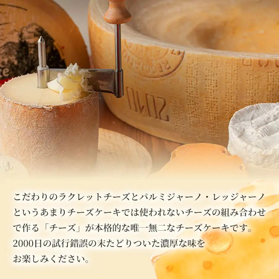 ハチミツをかけて完成する濃蜜チーズケーキ 1セット 定期便 6ヶ月 