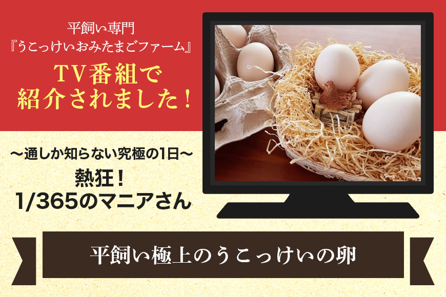 平飼い極上のうこっけいの卵 24個（20＋補償4個） 37-A