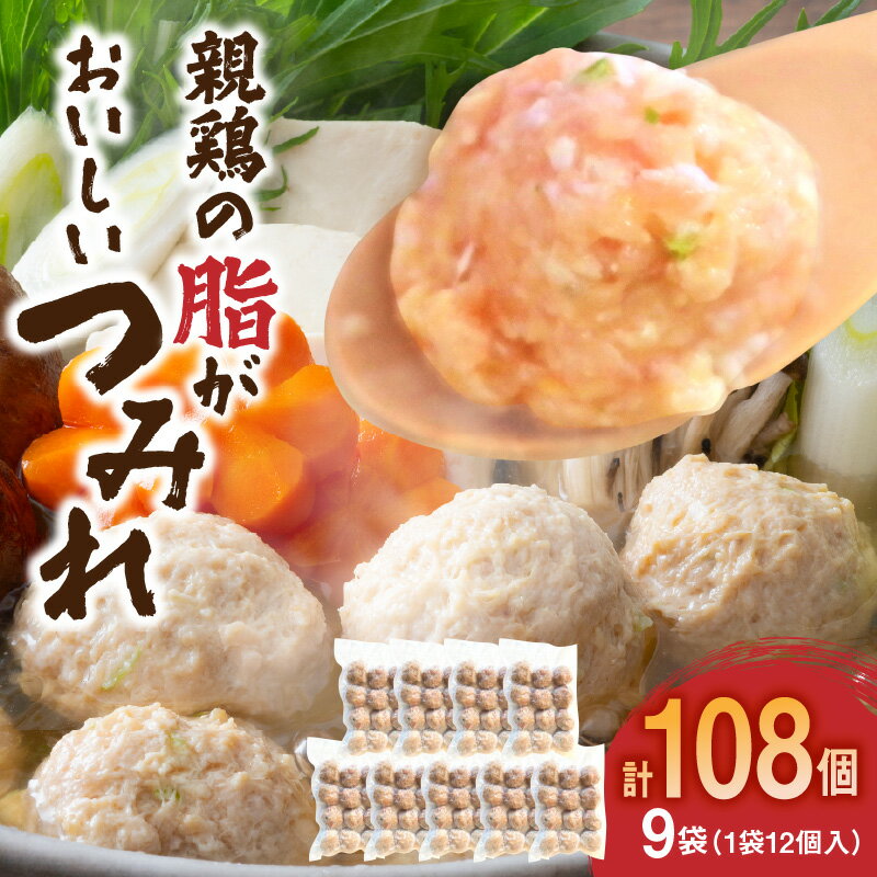 【ふるさと納税】親鶏の脂がおいしい つみれ 合計108玉（12個入り×9袋）