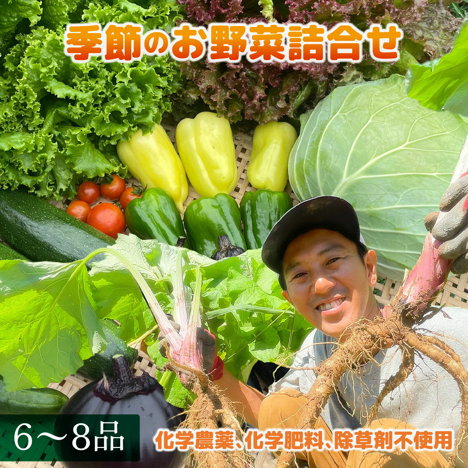 【ふるさと納税】季節のお野菜6～8種セット | 野菜の詰め合わせ 野菜セット セット商品 旬 新鮮 産地直送 とうもろこし レタス キャベツ 人参 ナス ジャガイモ トマト 大根 里芋 野沢菜 サツマイモ きゅうり ピーマン カブ 玉ねぎ ほうれん草 春野菜 夏野菜 秋野菜 冬野菜