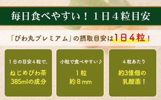 【定期便 全12回】≪12ヶ月連続で毎月お届け≫ びわ丸プレミアム ≪1回あたり(360粒入×1袋) ≫  健康補助食品 びわ茶含有加工食品  TO-15-NP| 国産 びわ茶 びわの葉 サプリメント