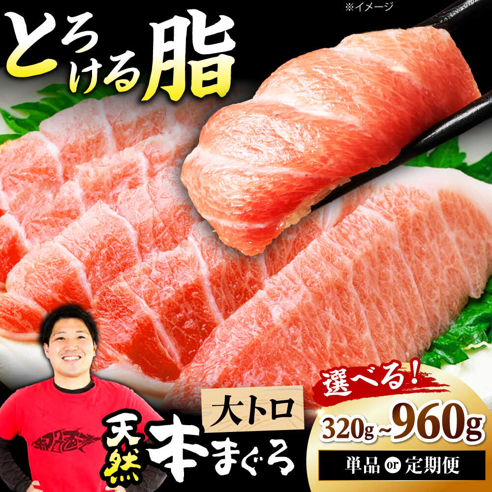 【ふるさと納税】【選べる容量・定期便】極上！たね熟天然本まぐろ大トロ まぐろ マグロ 鮪 トロ 刺身 小分け 冷凍 海鮮 新鮮 魚介類 送料無料 ふるさと納税 贈り物 贈答 ギフト プレゼント 人気 おすすめ 特産品 取り寄せ 大阪 高槻 大阪府高槻市/本まぐろ直売所[AOCE003]