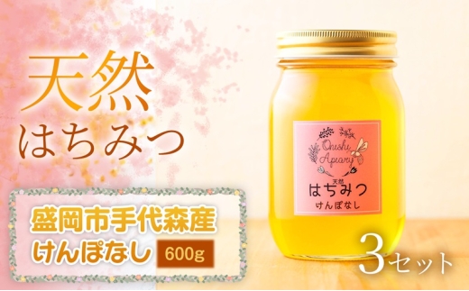 けんぽなし 蜂蜜 600g×3セット 国産 はちみつ 天然 無添加 無加工 盛岡市手代森産 季節の蜂蜜 希少 濃厚 上品な香り スイーツ ご褒美 美容 美肌 ギフト プレゼント 贈答用 岩手県 盛岡市 東北 岩手 盛岡 大西養蜂場