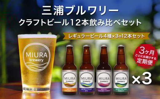 【三浦ブルワリー】定期便3ヶ月クラフトビール12本飲み比べセット　M110-T03