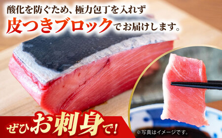 【大好評につき最大3ヶ月待ち】長崎県産 本マグロ「中トロ」(約700g) まぐろ マグロ 中トロ 鮪 まぐろ マグロ 中トロ まぐろ マグロ 中トロ さしみ 刺身 まぐろ マグロ 刺し身 マグロ まぐ