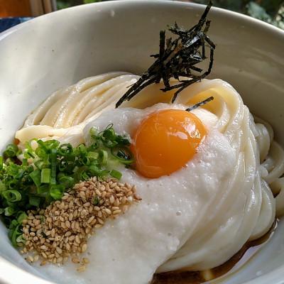 ふるさと納税 琴平町 四国こんぴら本場讃岐うどん食べ比べセット20人前(夏用)