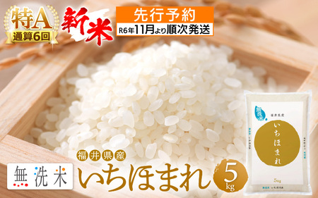 【新米・先行予約】米どころ福井の無洗米！無洗米いちほまれ5kg 特A通算6回！【令和6年11月より順次発送予定】 [e27-a031_11] 福井県 無洗米 いちほまれ 米 お米