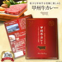 【ふるさと納税】【甲州牛和こう × 神田明神下みやび コラボ！】甲州牛カレー10箱 / 甲州牛和こう / 山梨県 韮崎市 [20741558]ビーフカレー レトルトカレー カレー 甲州牛 レトルト食品 保存食