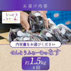 【6回定期便】朝採れナス 約1.5kg×6回 高知県安芸市｜ナス AZ004