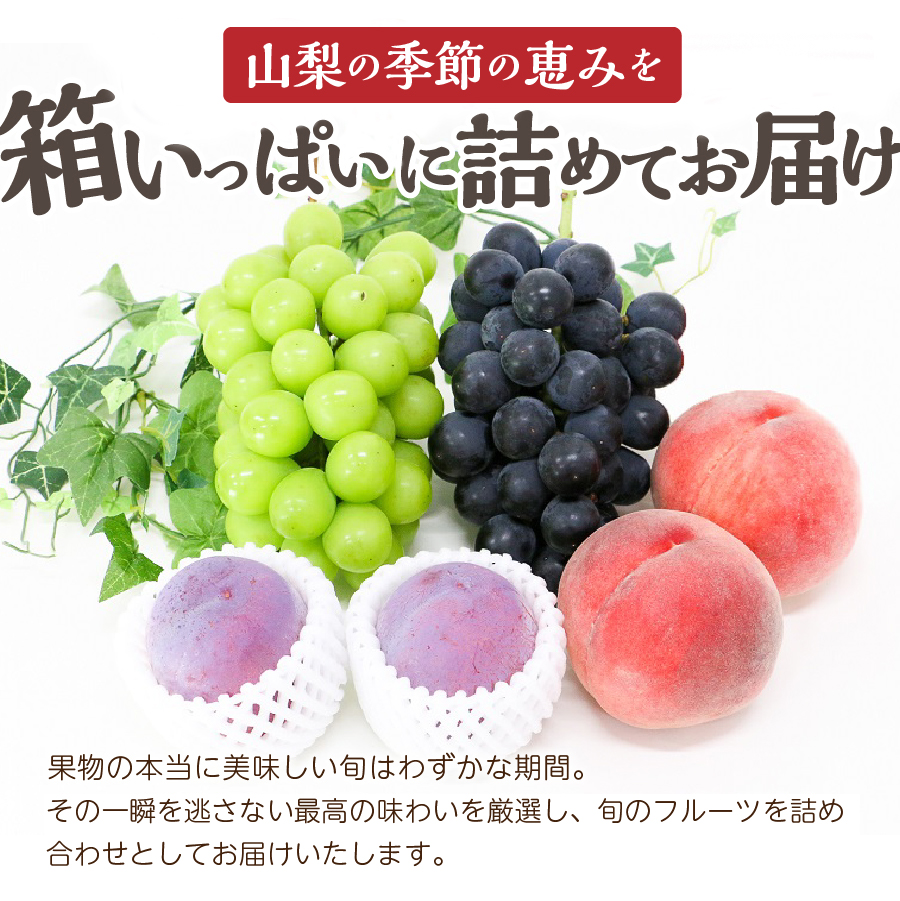 【9月配送】旬のお任せフルーツボックス