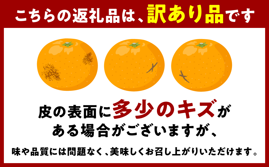 【先行予約】 ＜訳あり＞ 紅八朔 ご家庭用 約10kg 柑橘 かんきつ 果物 くだもの フルーツ べにはっさく 熊本県 八代市 【2026年2月上旬より順次発送】