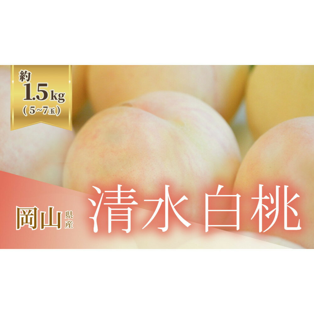 【ふるさと納税】【内容量が選べる】《2026年発送》岡山県産 清水白桃 約1.5kg 5～7玉又は約3kg 9～12玉 | もも フルーツ 果物 くだもの 食品 人気 おすすめ 送料無料